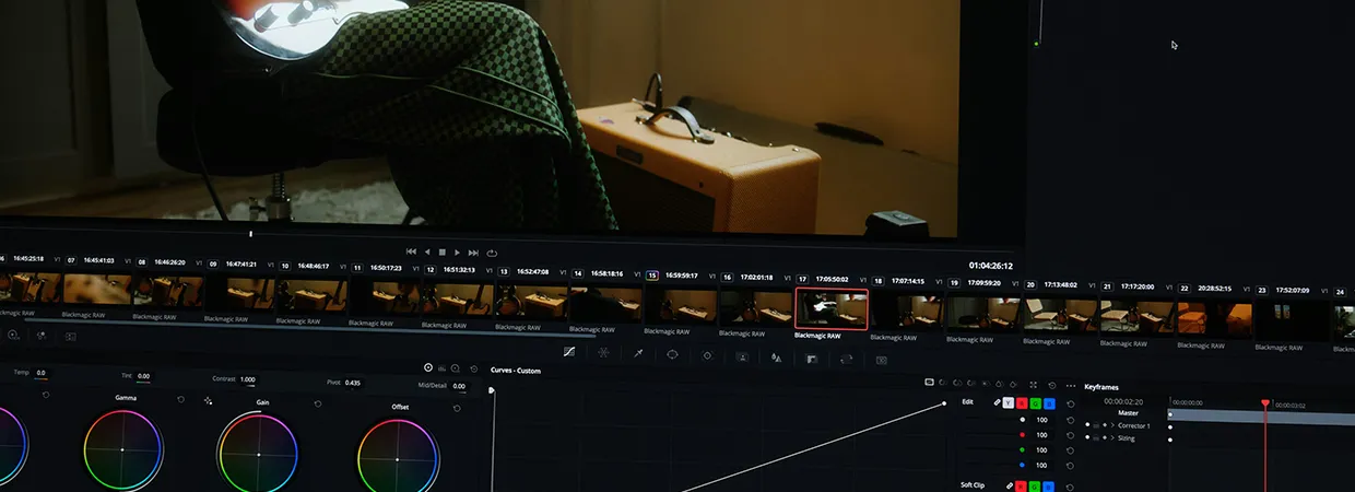 Taming Video Fraud