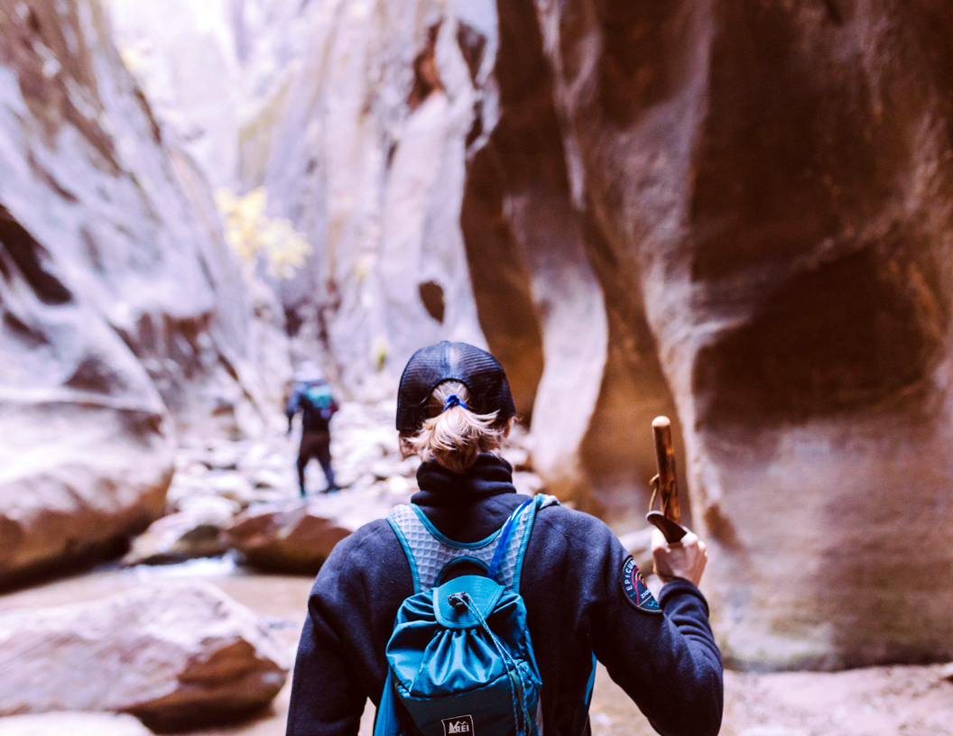 successful partnership programs