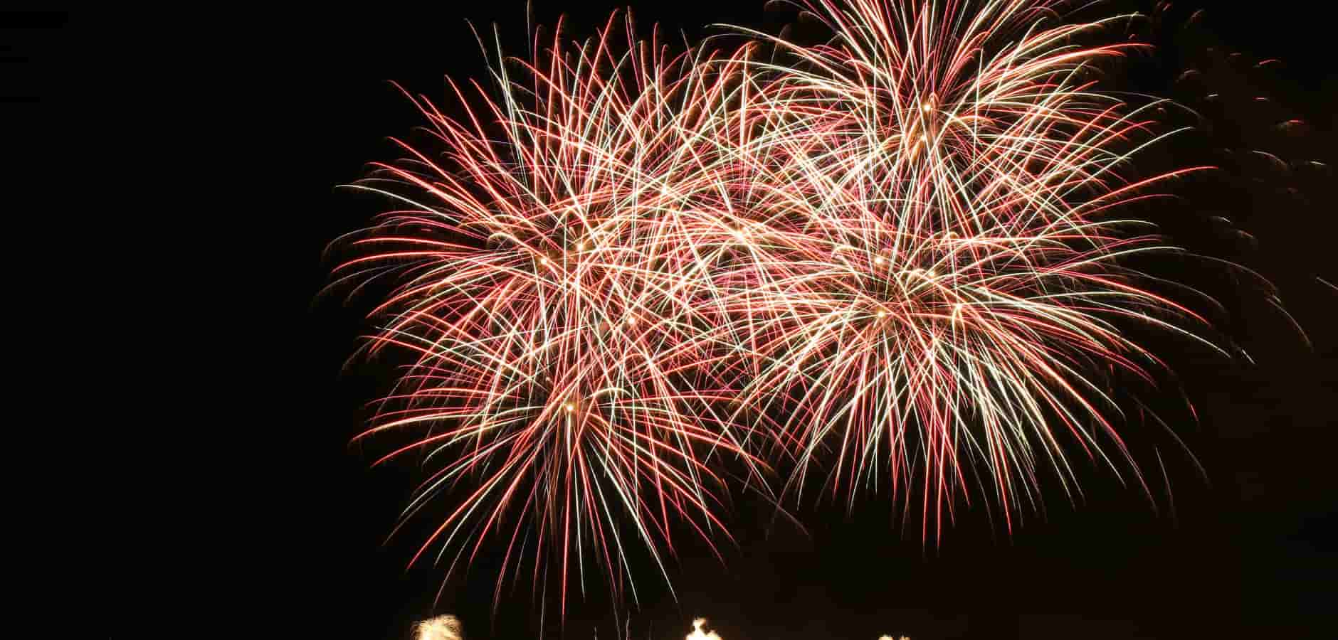 Leader in Partnerships