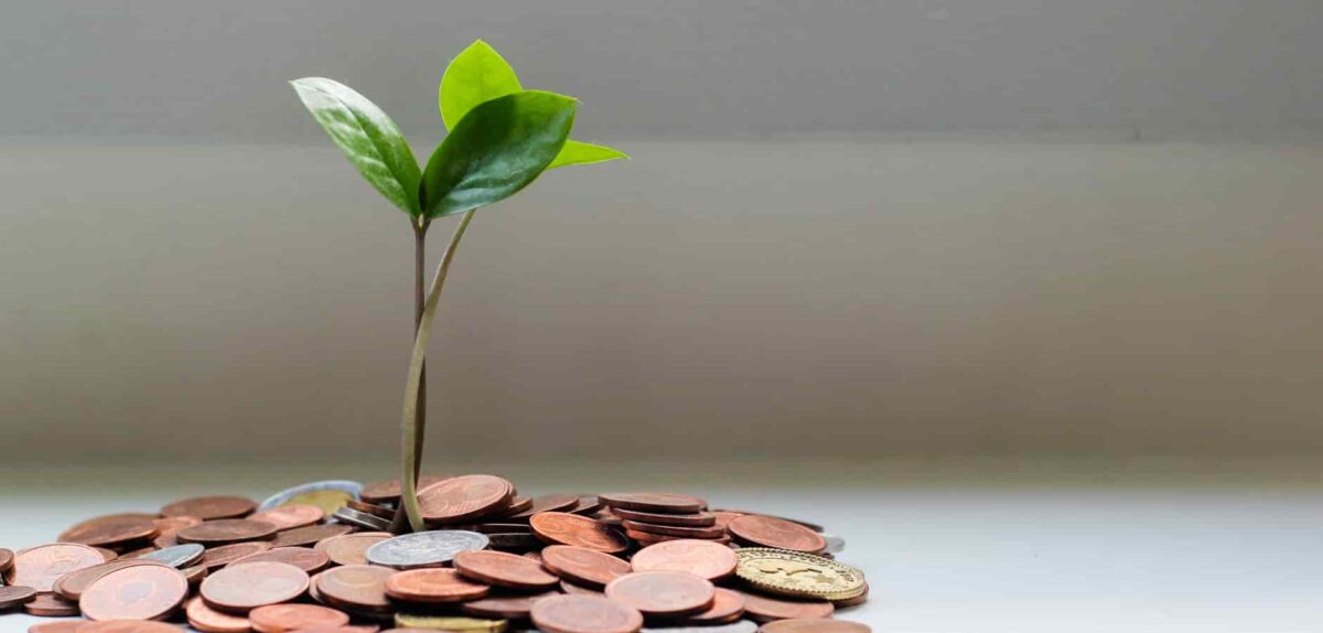 75%+ Revenue Growth