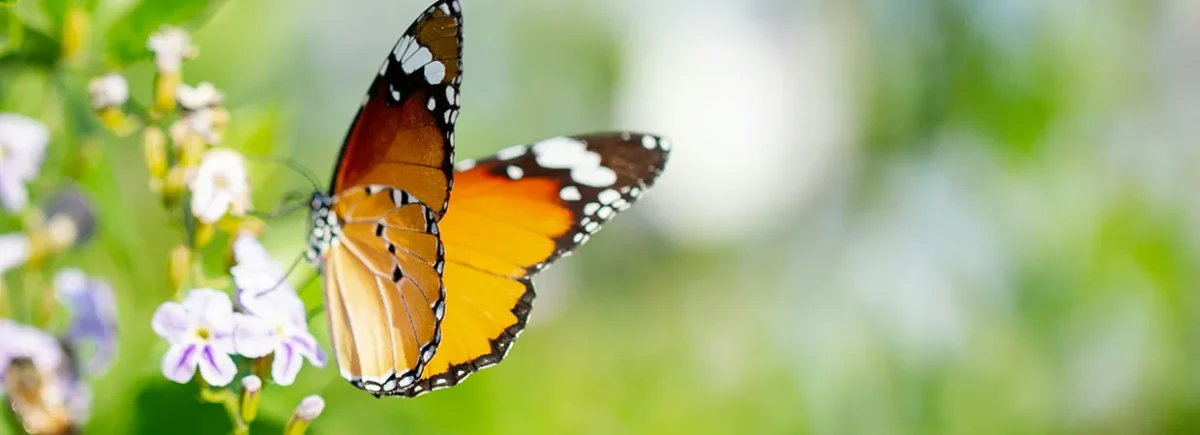 6 ways evolving your partnerships beyond affiliate will benefit your business