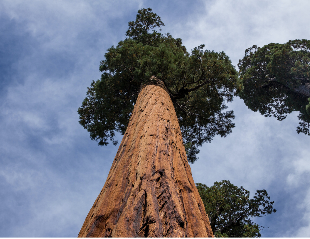 drive growth | impact