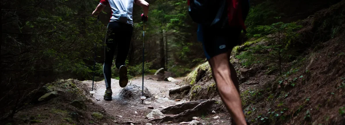 How an affiliate program works - from first click to payout