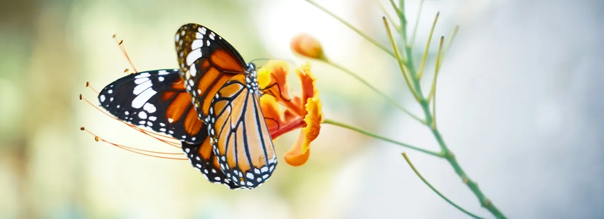 How to find your best brand partners