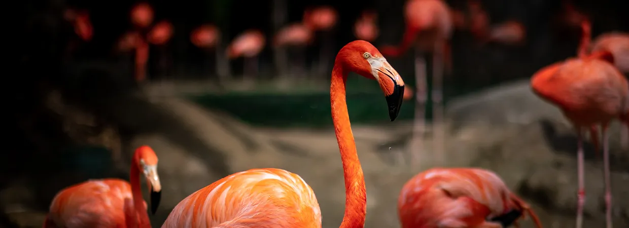 How to up your earnings