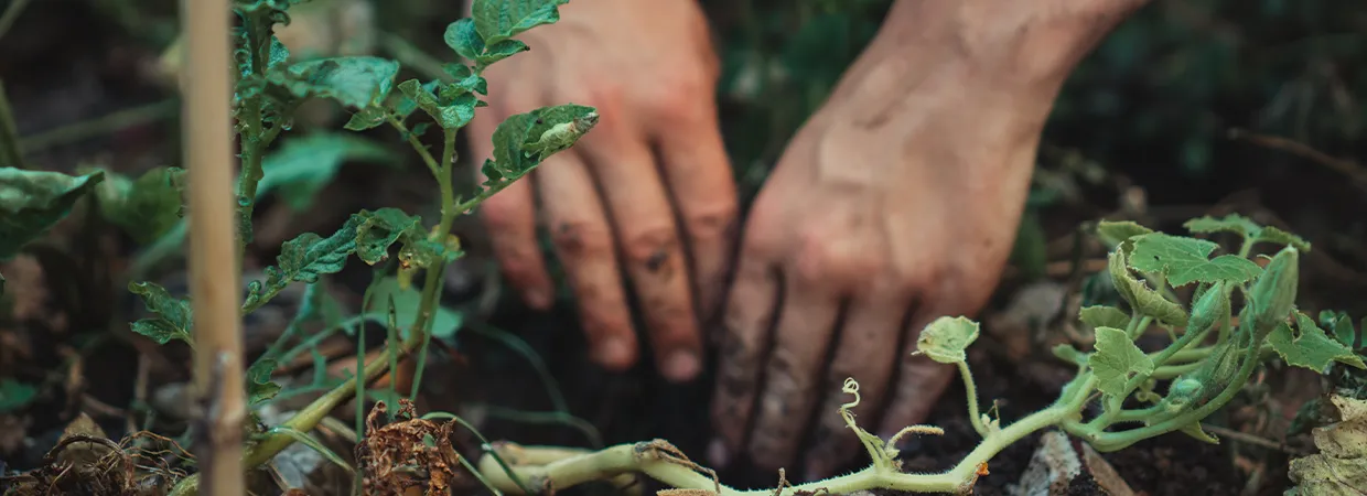 Partner recruitment 101