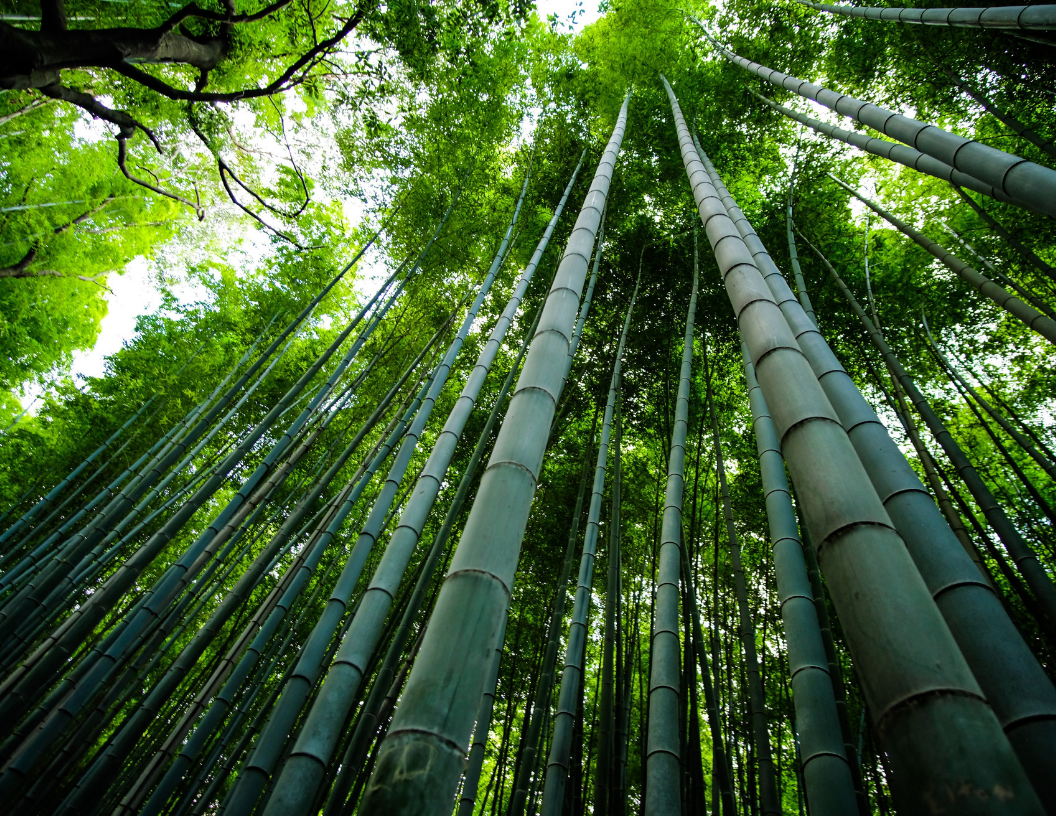 How commerce content increases revenue