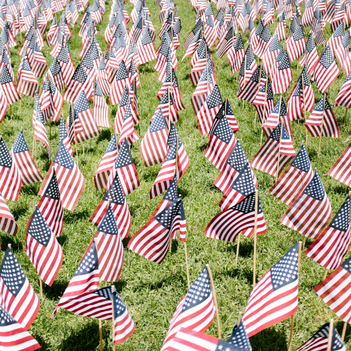 Team Solidarity Veterans Day