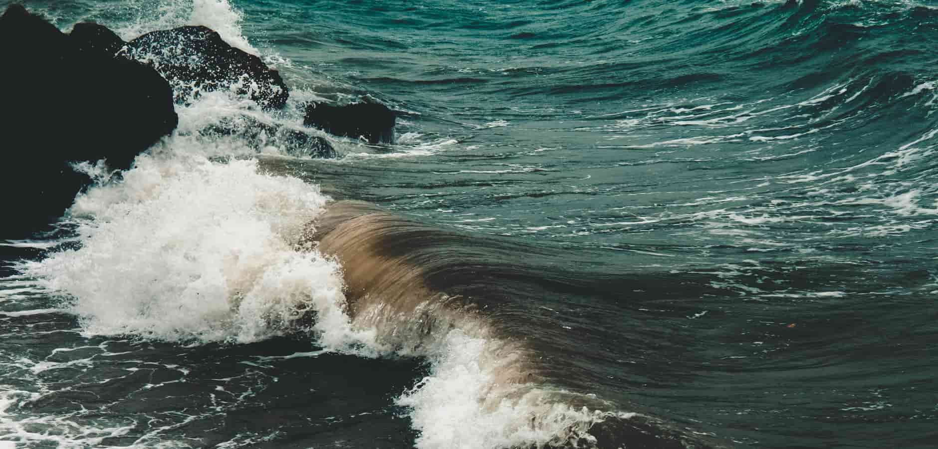 2021 discoverimpact.wpenginepowered.com momentum recap