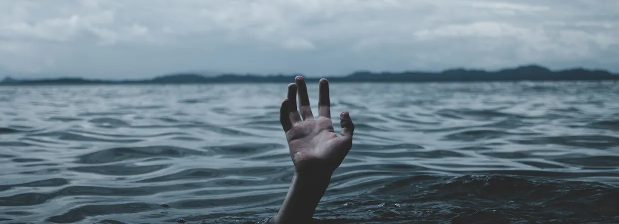 Building Consumer Trust Through Partnerships