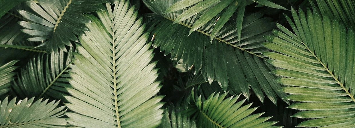 Ultimate influencer program starter kit