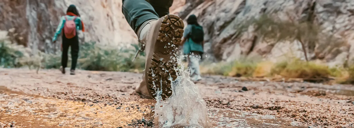 A walkthrough of how to set up your partner account