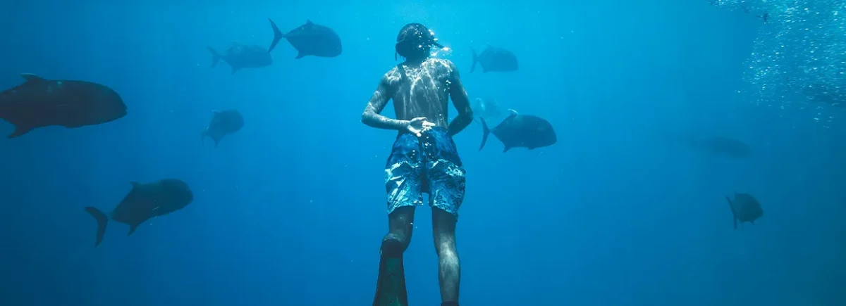 Tauche in unsere Welt ein: 8 erfolgreiche Partnerschaften