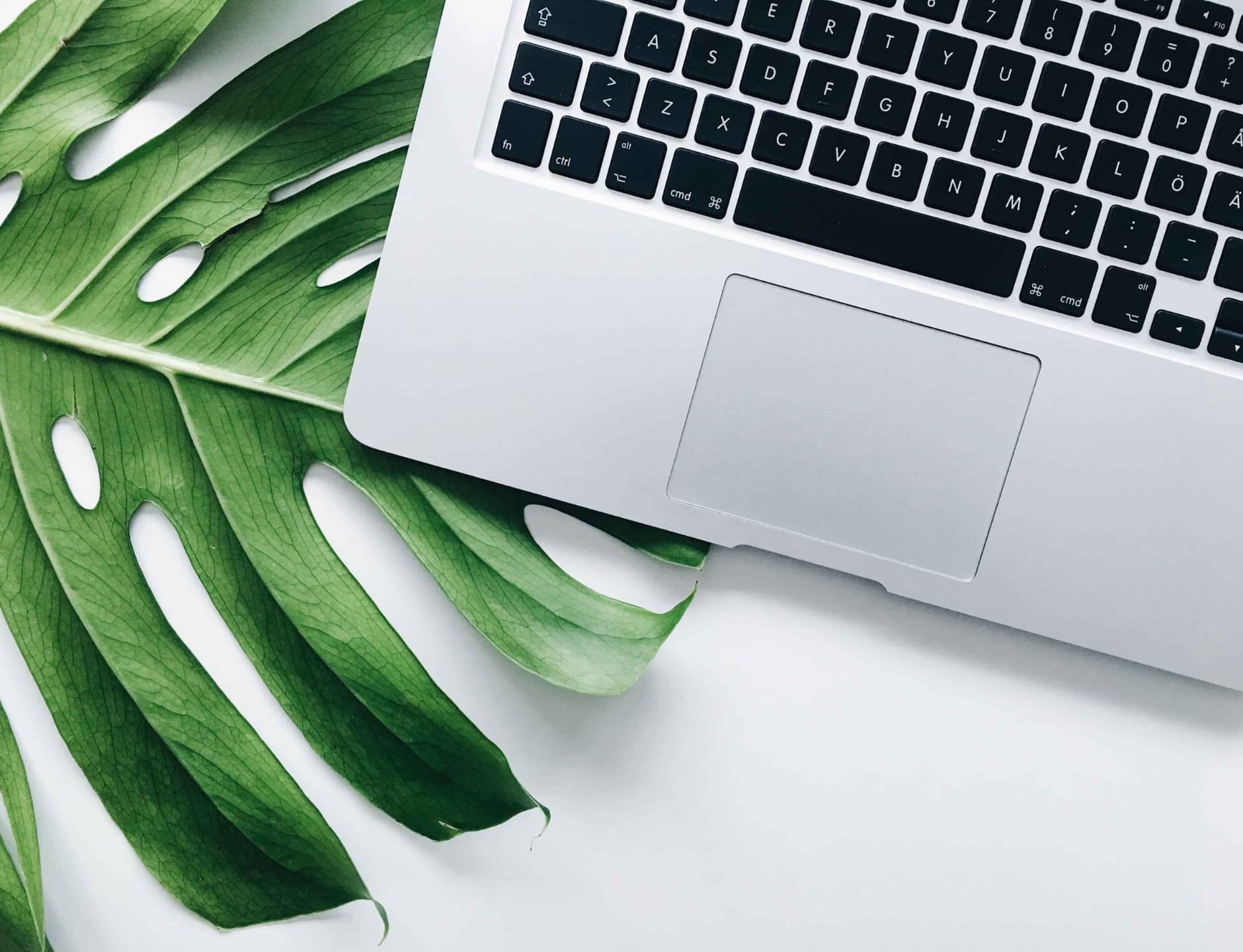 Promo code growth for online