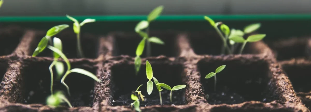 How to evaluate and optimize your partnership program