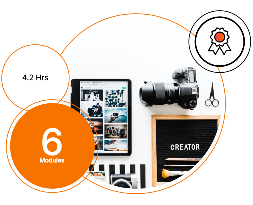 Influencer Partnerships PXA