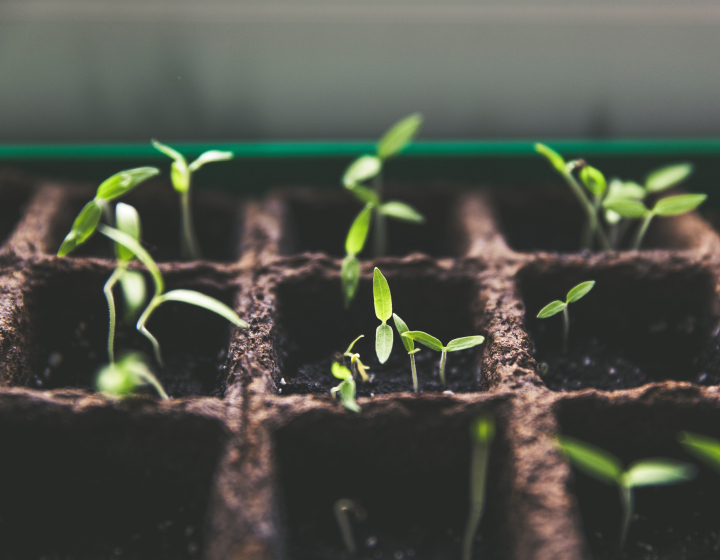 Evaluate Optimize Partnership Program