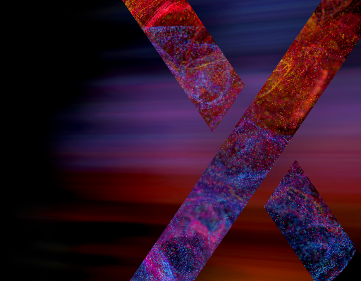 iPX Connect Sydney