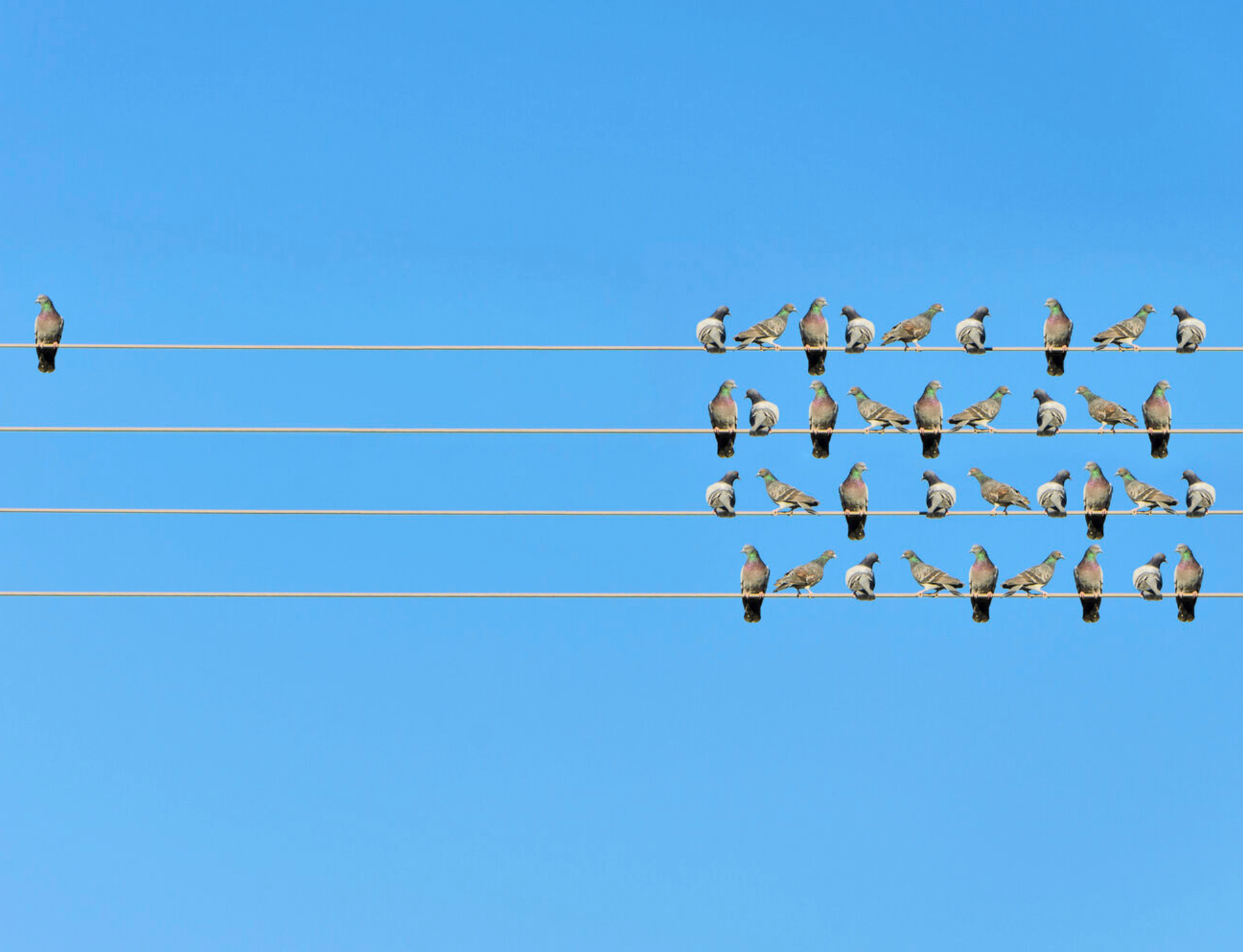 recruit affiliates to your partnership program