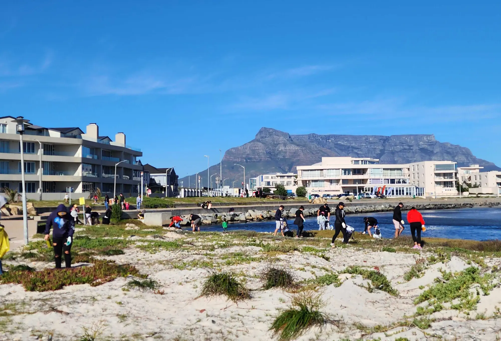 sustainability at discoverimpact.wpenginepowered.com