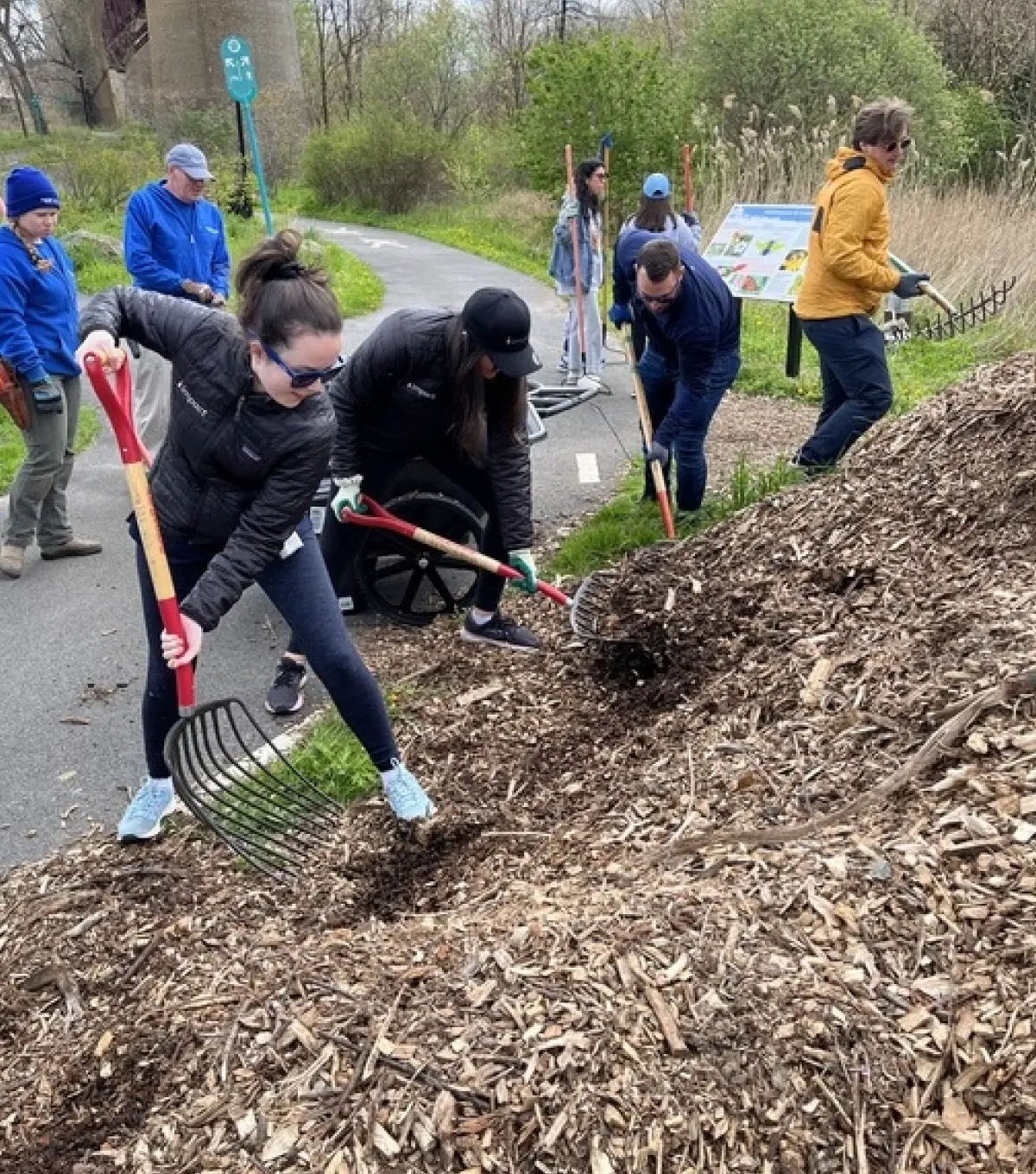 sustainability discoverimpact.wpenginepowered.com