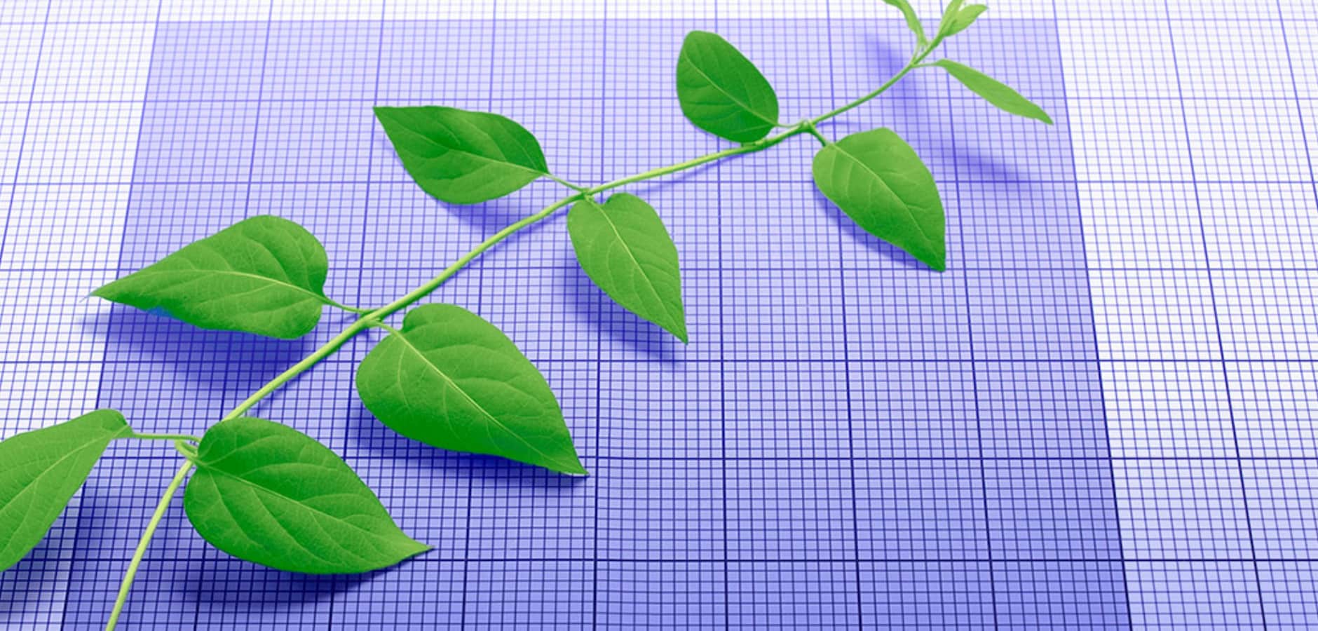 discoverimpact.wpenginepowered.com spring release update