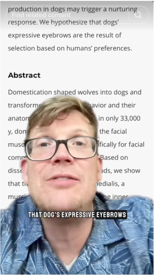 A person in a blue patterned shirt discusses research on the expressive eyebrows of dogs and their evolutionary significance.