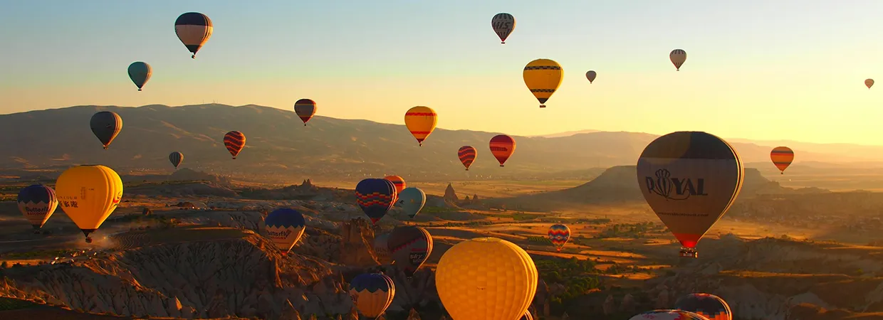 Maximizing performance to grow your revenue potential