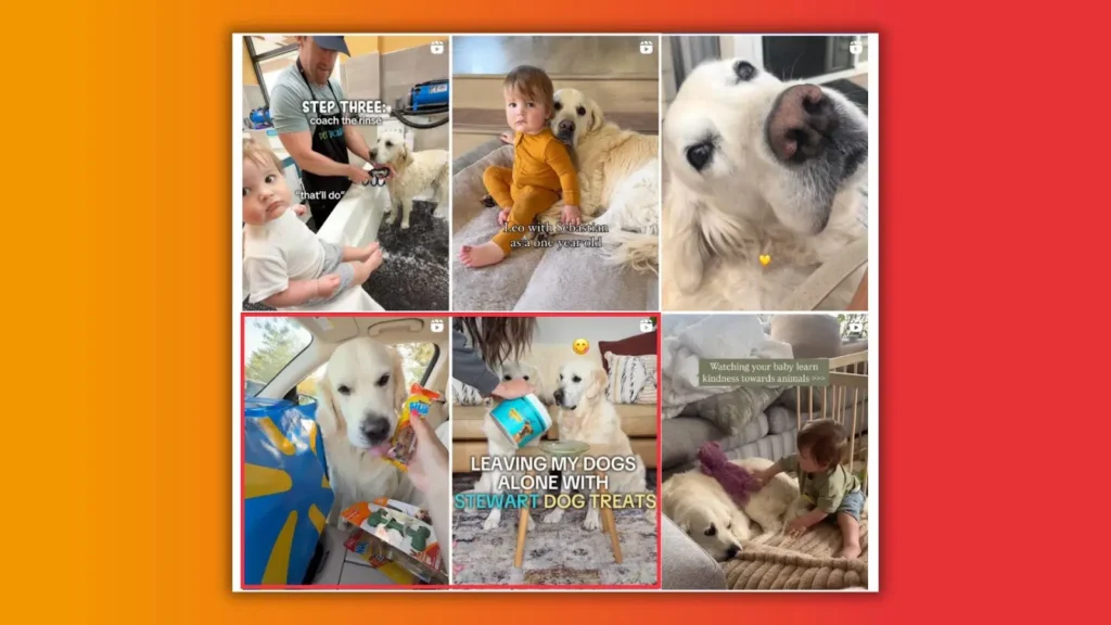 A collage of heartwarming moments with a golden retriever featuring playful interactions with children and treats.