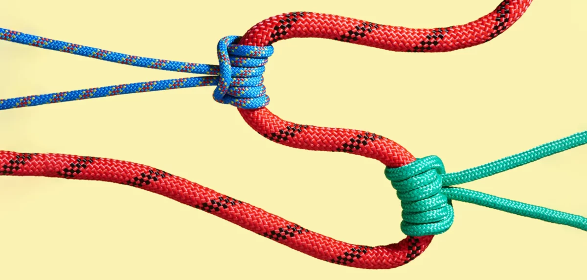 Tailoring partnership programs in highly-regulated industries