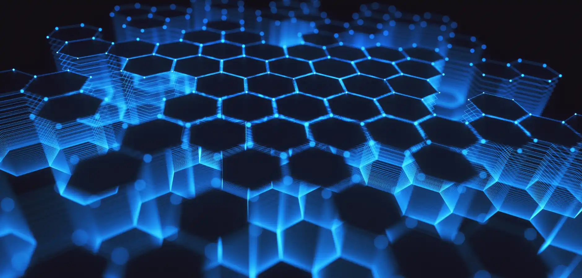 customer referral program