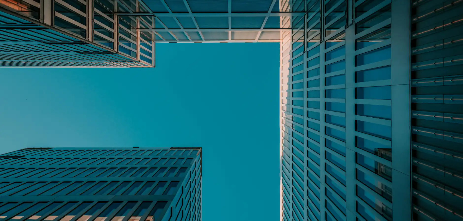 elevate your content