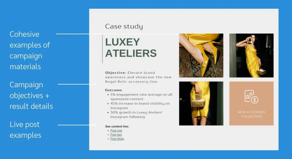 influencer media kit case studies