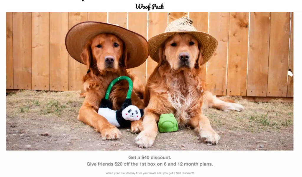 Two golden retrievers wearing large straw hats sit side by side on grass, each with a colorful toy in front of them.