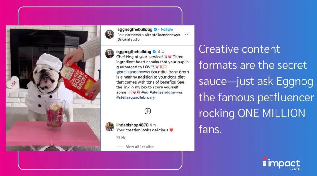 A bulldog dressed as a chef happily waits while someone pours bone broth into a glass with snacks on a pink table.