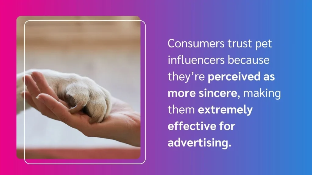 A human hand gently holding a dog's paw, symbolizing trust and connection between pet influencers and consumers.