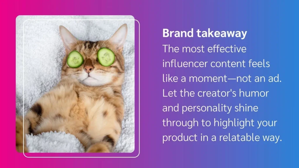 A relaxed cat with cucumber slices on its eyes lays on a fluffy blanket, embodying a fun, casual vibe.
