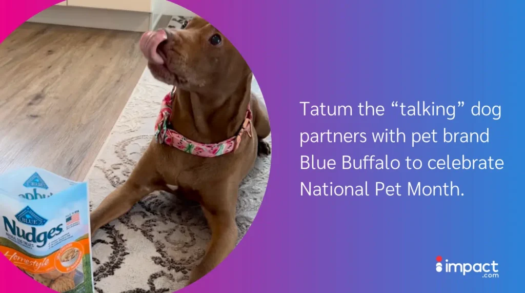 A brown dog wearing a floral collar sits beside a bag of Blue Buffalo dog treats on a patterned rug.
