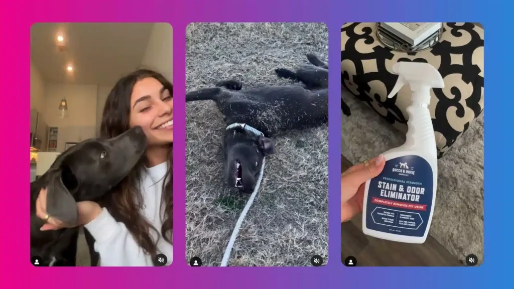 A playful black dog enjoys rolling in the grass, while a hand holds a bottle of stain and odor eliminator on a stylish table.