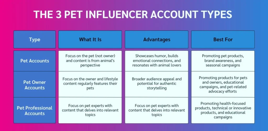 Infographic outlining three types of pet influencer accounts: Pet Accounts, Pet Owner Accounts, and Pet Professional Accounts, with key details.