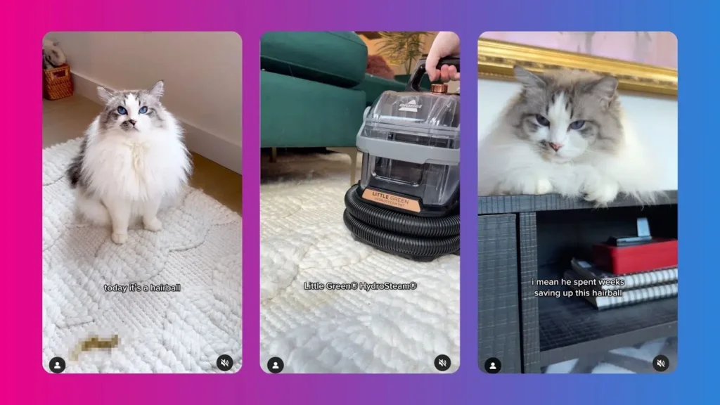 A fluffy cat with striking blue eyes sits beside a hairball, next to a carpet cleaner, while lounging on a shelf with a playful caption.